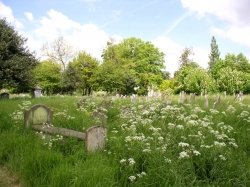 Parish cemetery